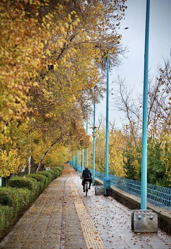 Alone in fall thumbnail