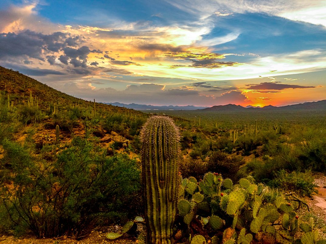 Sunset at Tuscon Mountain County Park | Smithsonian Photo Contest ...