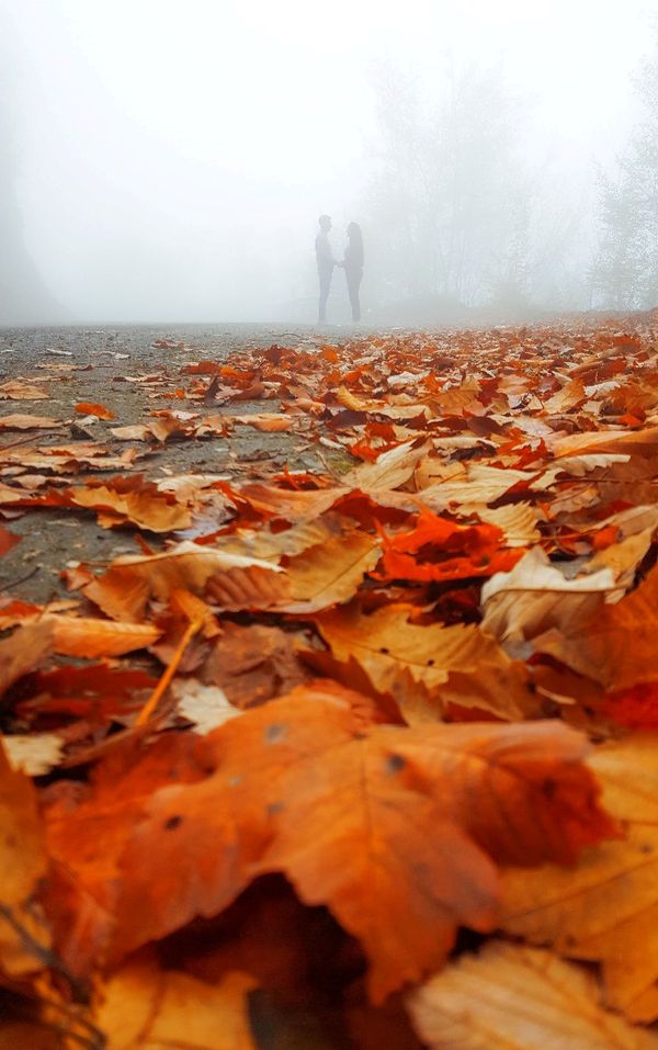 A romantic day on an autumn trip to northern Iran thumbnail