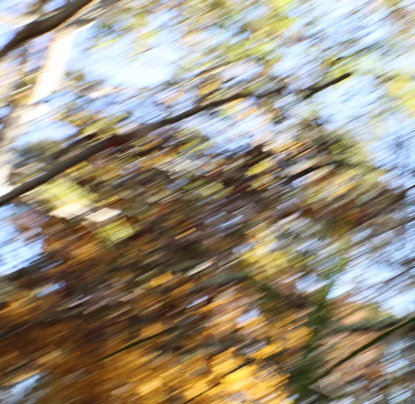 Fall is Rushing By thumbnail