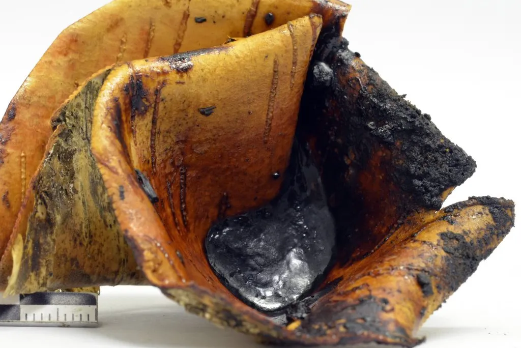 Neanderthal Tar
