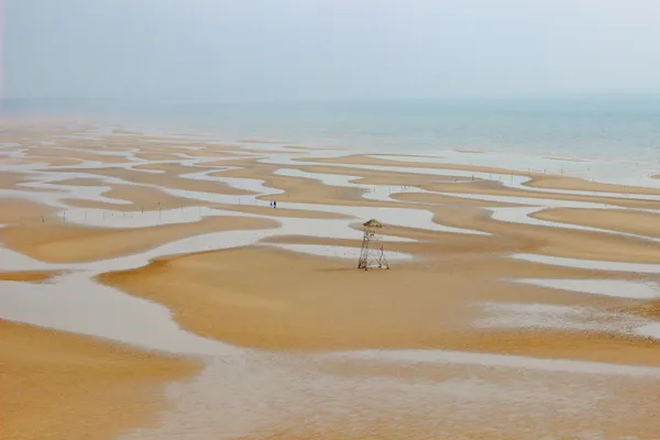 Geological Love Letter—Terrain of Coexistence thumbnail