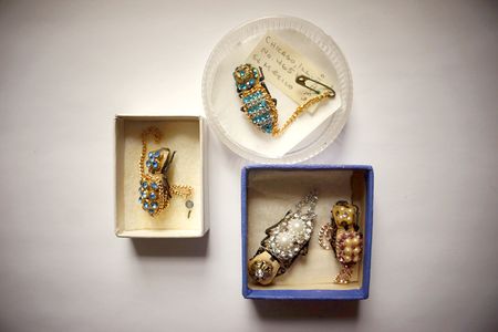 The makech, a beautiful beetle from Central and South America has been worn as a living pendant for centuries.