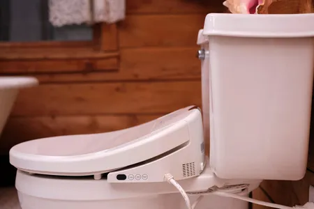 Could 2020 be America's Year of the Bidet?