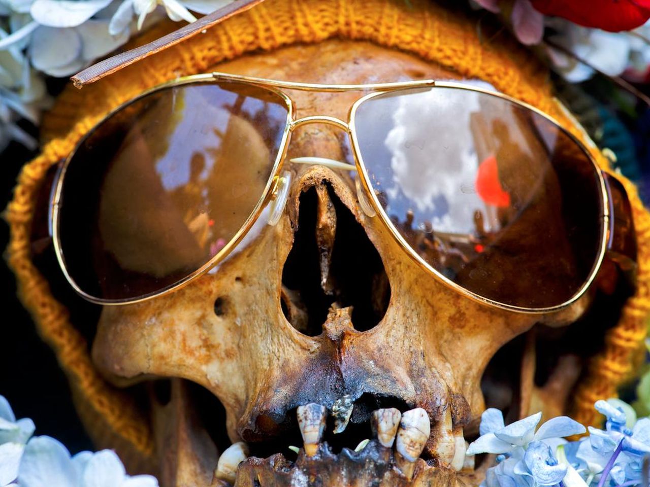 skull photographer