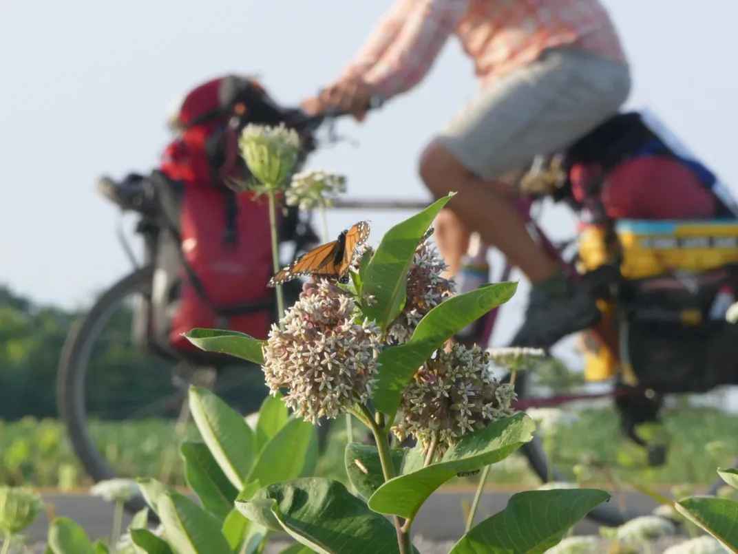 What I Learned Biking the 10,000-Mile Migration Route of Monarch Butterflies