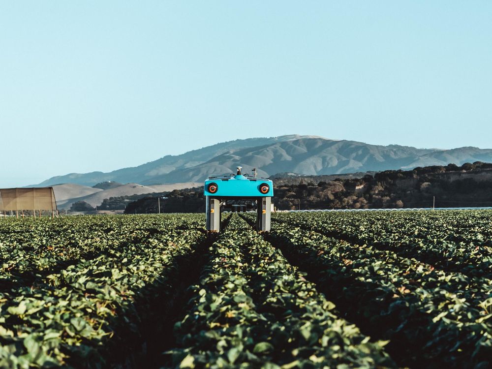 Is This Weed-Spotting, Yield-Predicting Rover the Future of Farming?