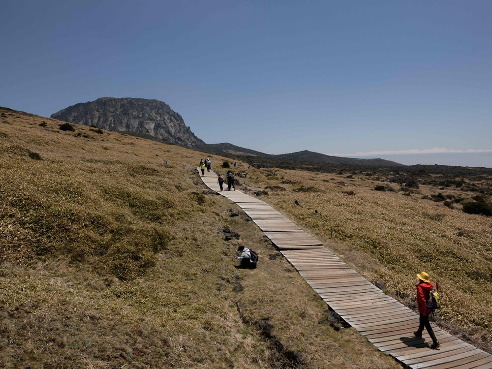 Hikers walking up wooden boardwalk toward a mountain