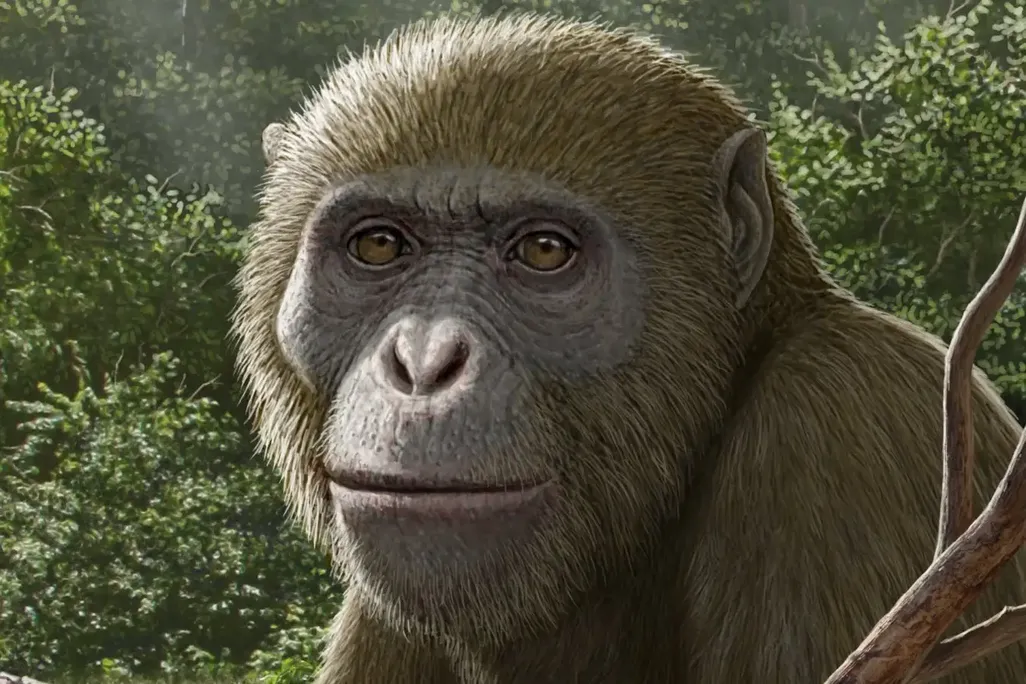 Artistic Rendition of Masripithecus