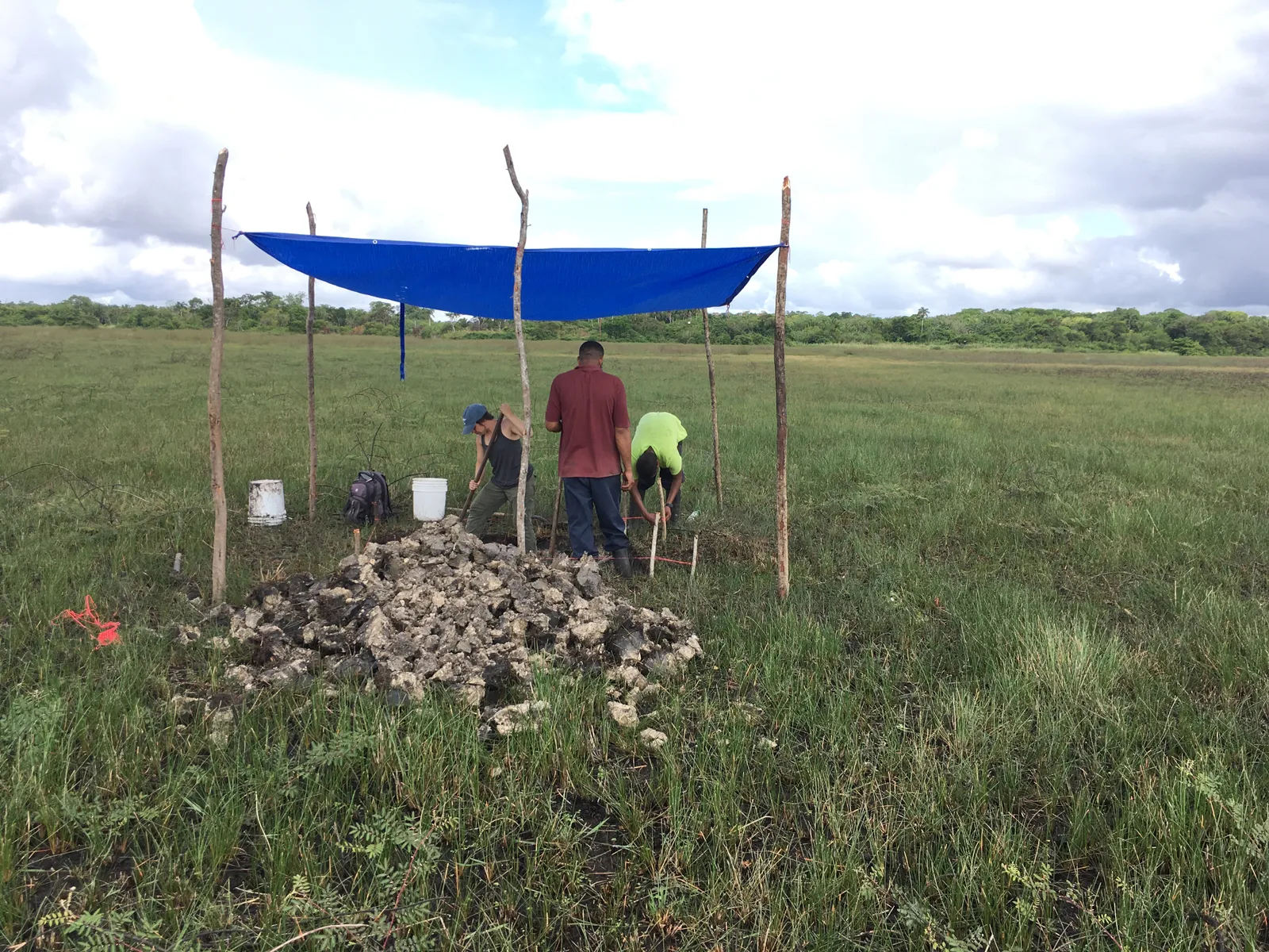 Archaeologists Discover Ancient Canals Used to Trap Fish in Belize ...