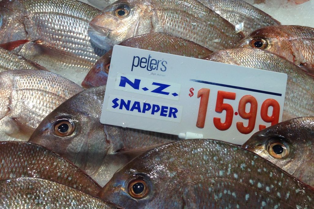 Fish for Sale