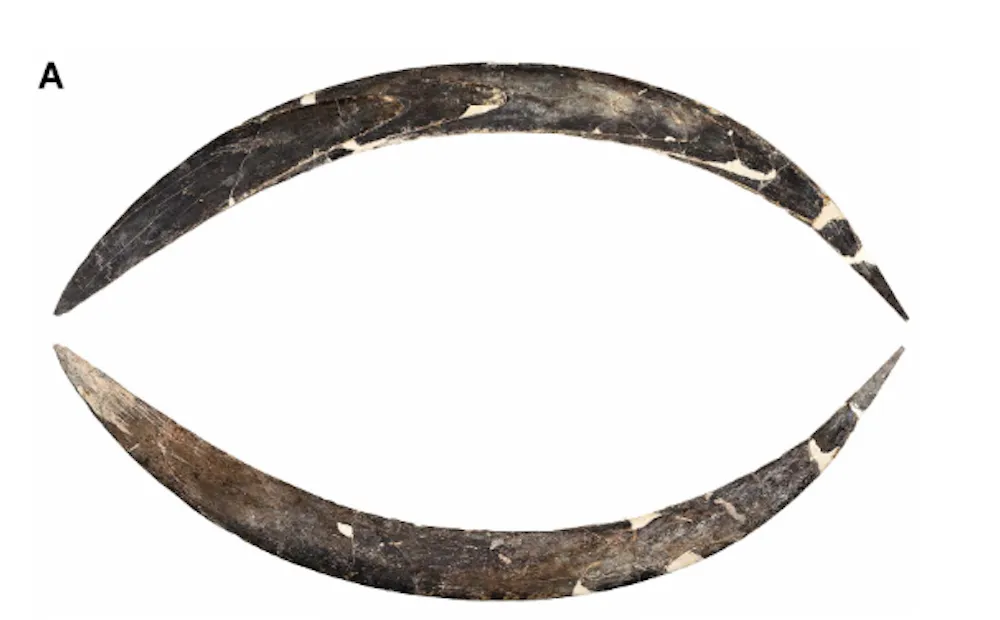 Boomerang against white background
