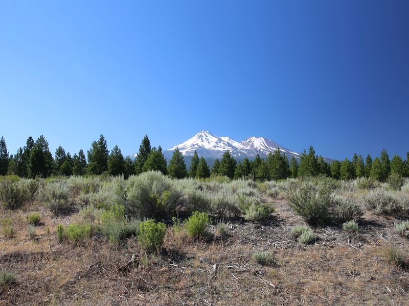 Snow covered Mount Shasta in July | Smithsonian Photo Contest ...