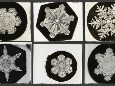 The original photos from late 1800s by famous snowflake photographer Wilson “Snowflake” Bentley, are stored in the Smithsonian Archives. His pictures were instrumental in helping scientists examine snow’s crystalline properties. (Erin Malsbury, Smithsonian Open Access, Wilson A. Bentley)