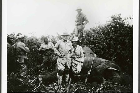 In a new book The Naturalist, the Smithsonian's Darrin Lunde draws on Teddy Roosevelt's diaries and expedition journals to tell the story of the 26th president as a prodigious hunter, tireless adventurer and ardent conservationist. 