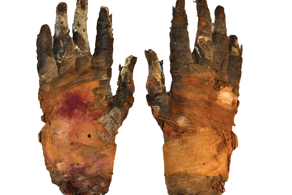 mummyhand-800x813.jpg