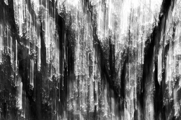 light shining through the trees thumbnail