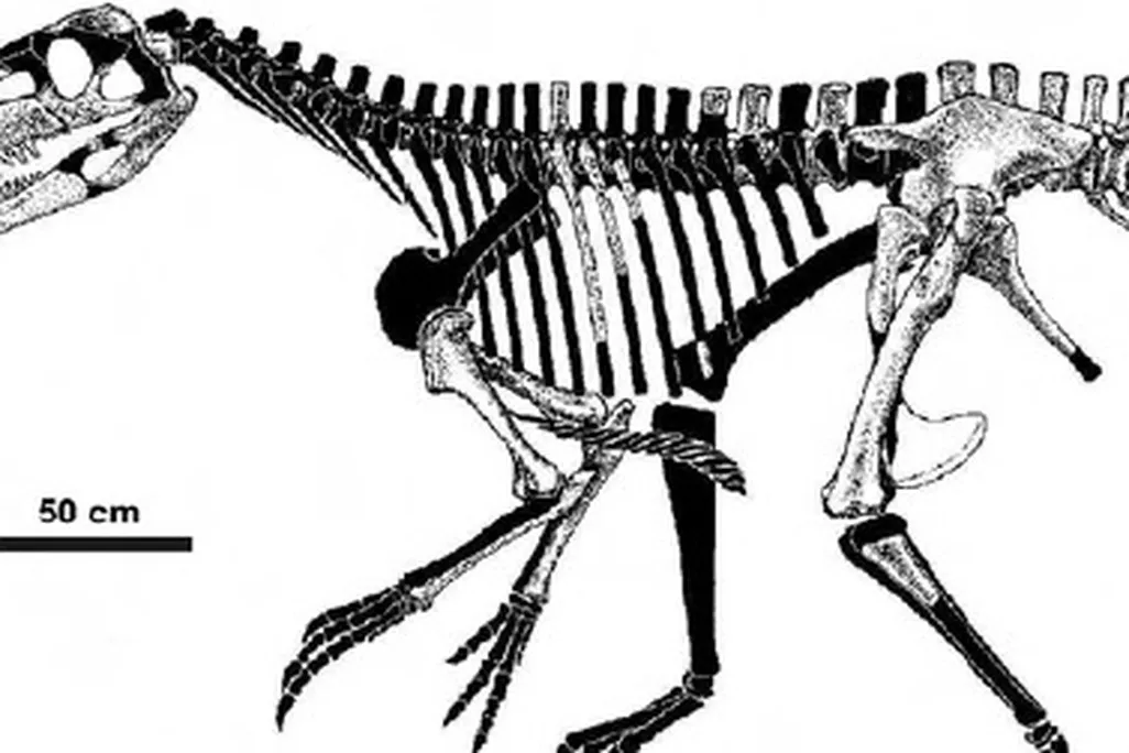 A skeletal restoration of Smok wawelski