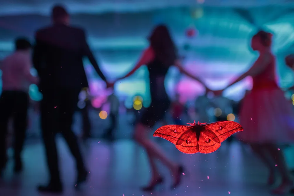 a moth appears to be floating and tinted red, as people behind it dance in a circle holding hands