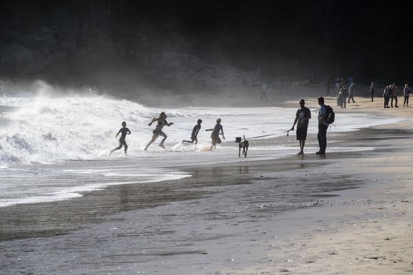 kids in the surf thumbnail