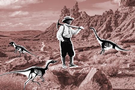 In the early 20th century, pioneer paleontologist Annie Montague Alexander had to find socially acceptable fieldwork partners to avoid being accused of vague improprieties on her expeditions. She would go on to found the University of California Museum of Paleontology at Berkeley.