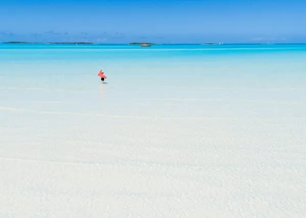 Picture Perfect Paradise thumbnail