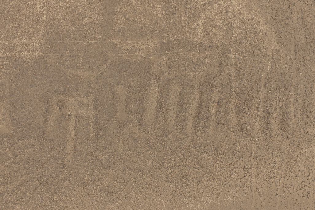 Nazca Lines