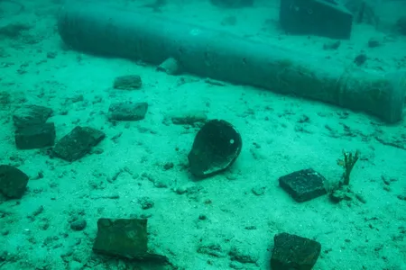The new attraction is the Dominican Republic's Living Museum of the Sea.