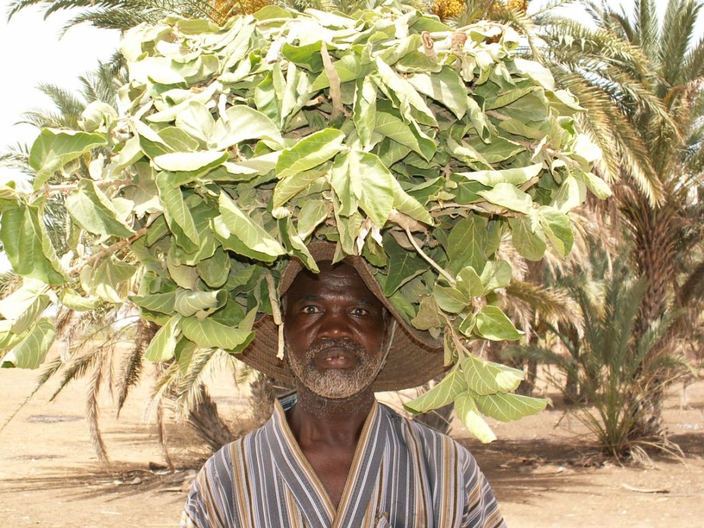 www.smithsonianmag.com