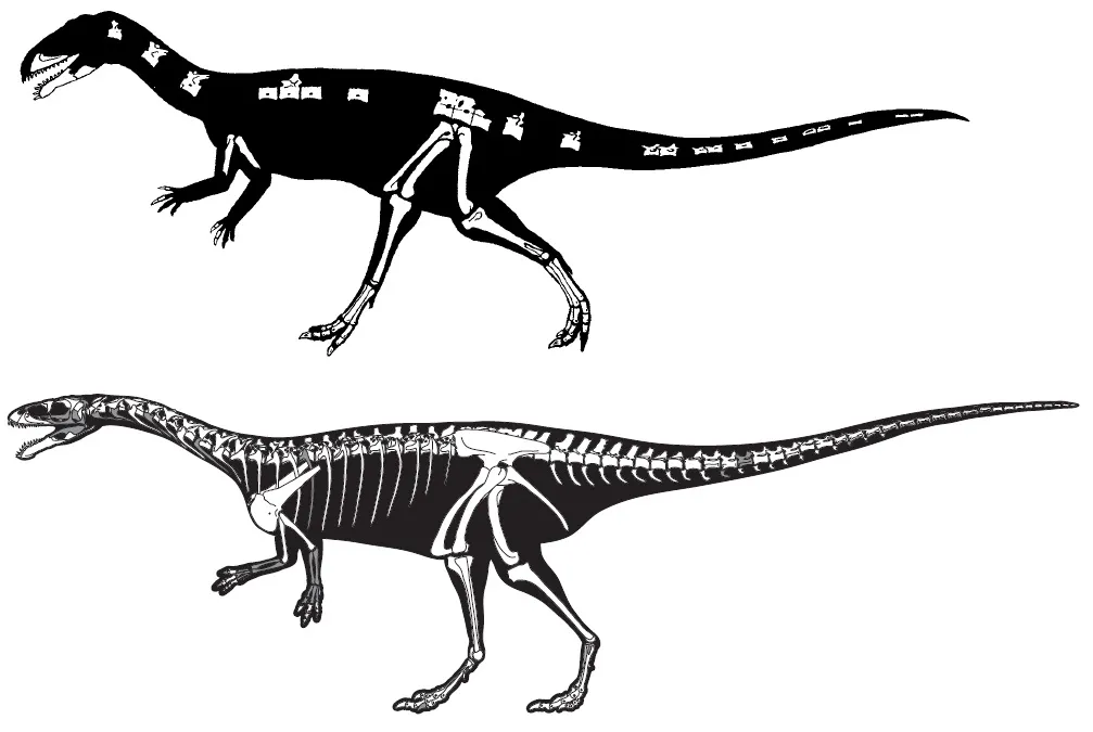 20110520083304masiakasaurus-two-reconstructions.jpg