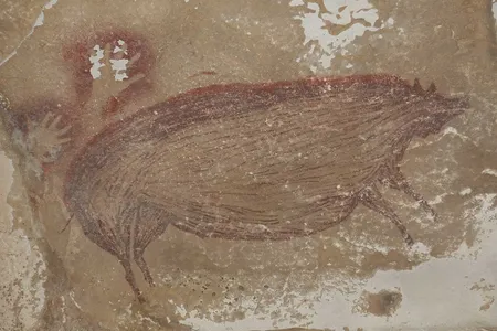 Scientists estimate this pig painting was drawn 45,500 years ago.