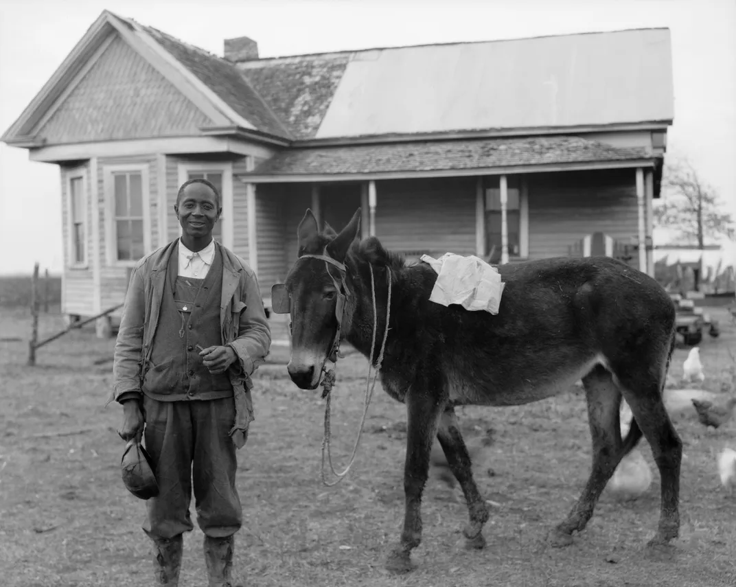 Sylvester Harris and his mule