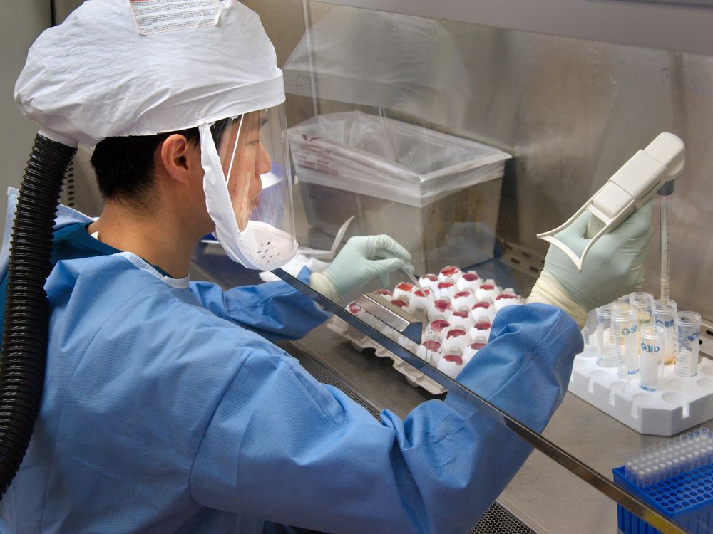 h7n9-lab_a_full.jpg