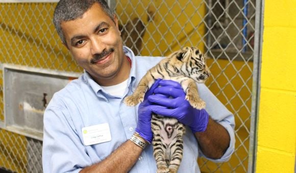 Craig with cub 4 days (14, July 2017).jpg