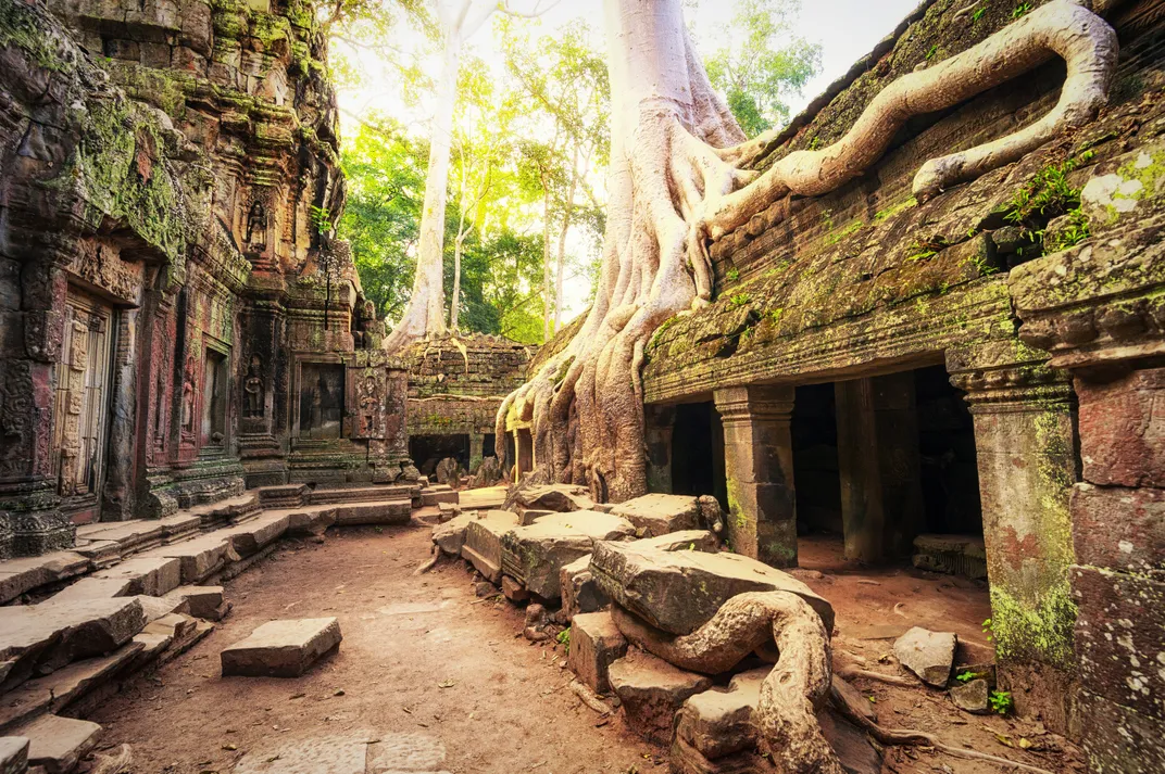 The iconic site of Ta Prohm, Angkor Wat