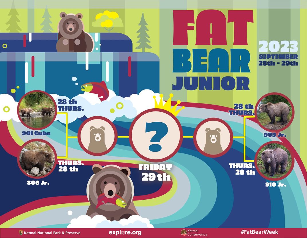 a bracket of fat bear junior, september 28-29, 2023. Bear 909 Jr. and 910 Jr. will face off, and Bear 806 Jr. and 901 cubs will compete.