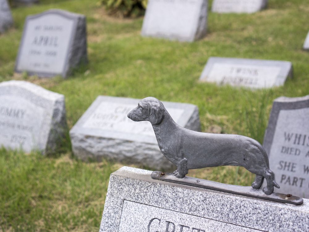 pet cemetary