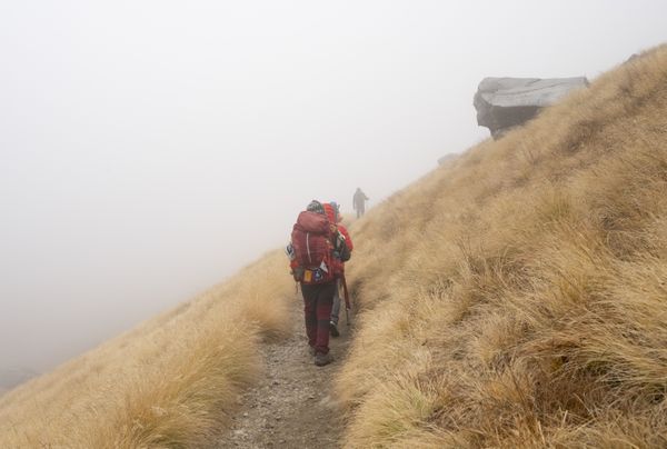 Through The Fog thumbnail