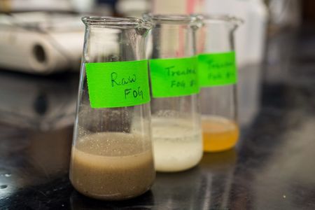 FOG (fats, oils and greases) in various stages of treatment