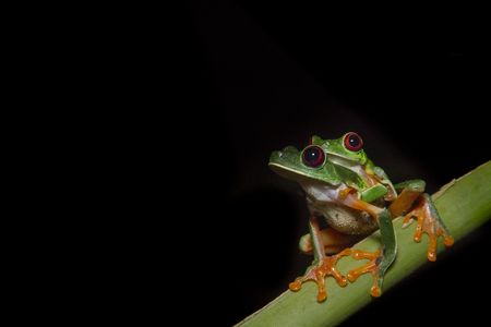 DSC_3895.jpg