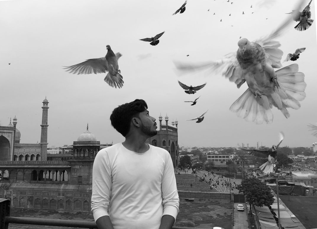 Bird whisperer Smithsonian Photo Contest Smithsonian Magazine