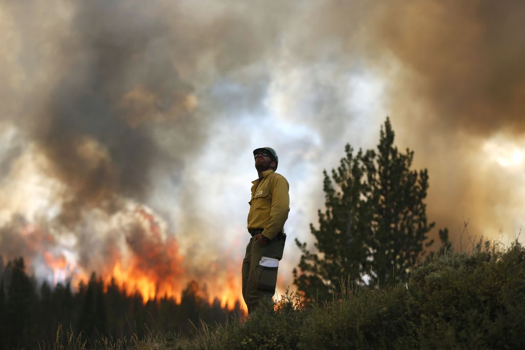 firefighter forest blaze