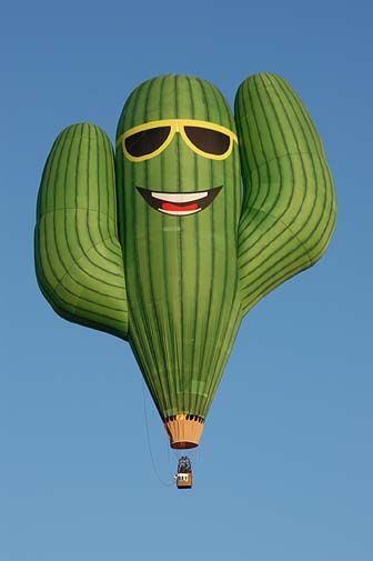 Cactus balloon-505.jpg