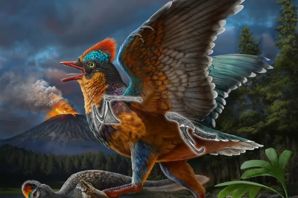 An artistic representation of the colorful Baminornis zhenghensis in front of a volcano