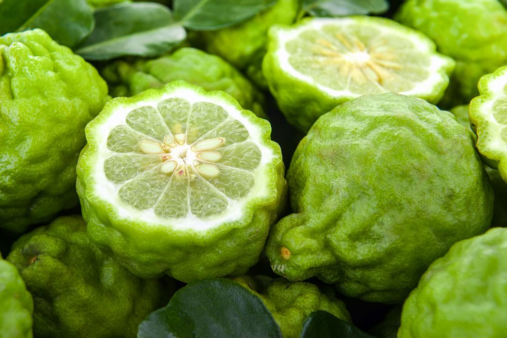 bergamot fruits, looking like wrinkled limes