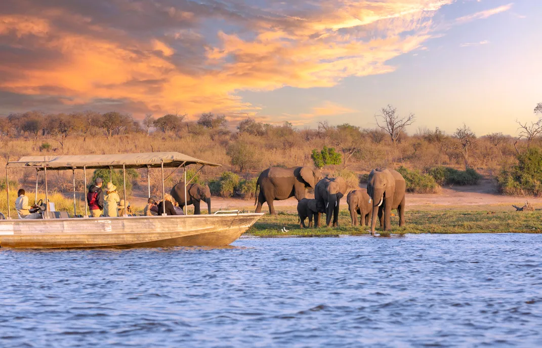 Travelers up close with elephants in Chobe National Park