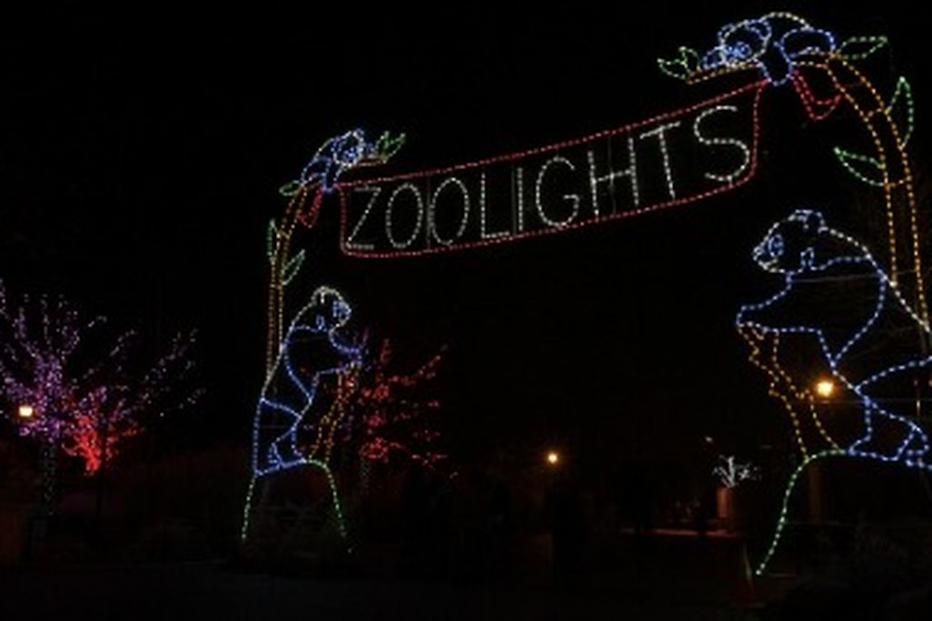 Come see the ZooLights holiday festival on January 1st