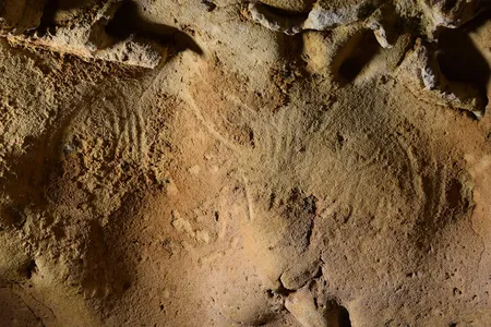 Engravings discovered in La Roche-Cotard cave