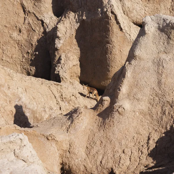 Untitled (35) thumbnail