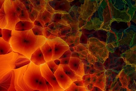 To go backward in time, start at the far right side of this Cosmic Web poster, which represents the universe as it is today, scattered with galaxies. As you move to the left, you see earlier stages of the universe in which dark matter—a mysterious substance astronomers can detect only indirectly—was structured as webs and filaments. Before that, closer to the Big Bang, dark matter was dominated by tides and voids.